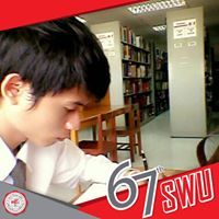 Newton NN
