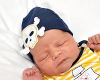 Stephanie Williamson