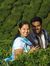 Madhuka...