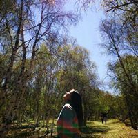 Ц. Цэрэндолгор