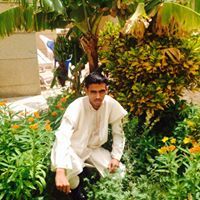 اعل الكوري الشين