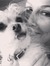 Aimie B...