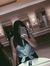 Desy Ch