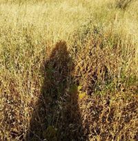 إسراء أبوعصبة