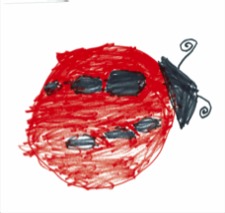 Ladybug