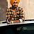 Robin Singh