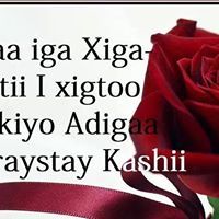 Hanad Ahmed