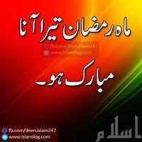 Javed Amjed