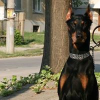 Валентина Маджарова