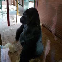 Daniel Robinson-Smith