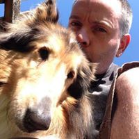 Michael D'Alessandro