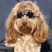 MurrayandTracy Calvert