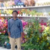 Vijay Guttula