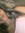 Brianna Moore | 2 comments