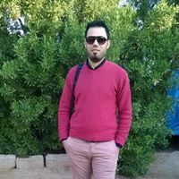 أنمار محمود