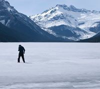 Tommy Mentzelopoulos