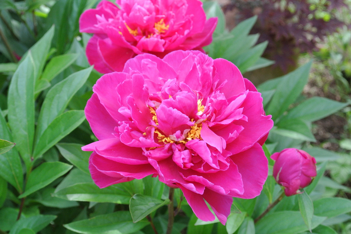Goodreads profile picture for @kilt