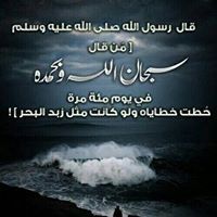 فيصل البديوي