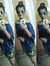 Astha G...