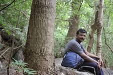 Vjsagar