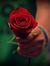 Mazen B...
