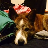 Sequoia-Moon Johnson