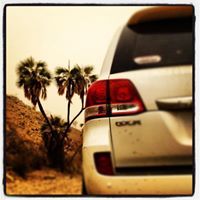 مهند الغروي