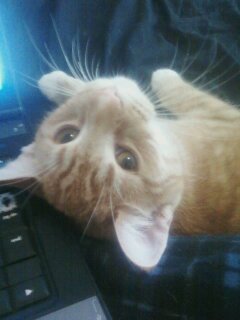 Goodreads profile picture for @tocino