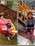 Shruti ...