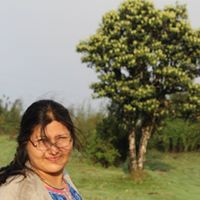 Pushpanjali Yerrolla