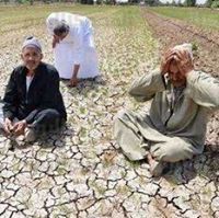 احمد الهواري