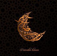Mohamed Abdulhamid