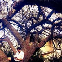 Matt Padín Marchioli