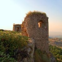 Սաքօ Մովսիսեան