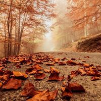 محمد ابراهيم