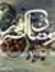 Aisha Abow
