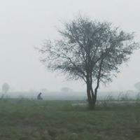 आदित्य देशमुख