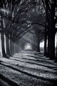 غريبة عن الحياة