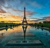 صحراوي العالمي