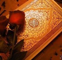 وفاء ابونار