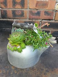 Michael-Chasely Paech