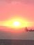 Dawn Ca...