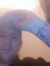 Lee Fox