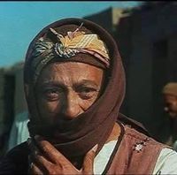 محمد النوبى