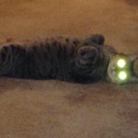 Benjamin Patrick Quilter