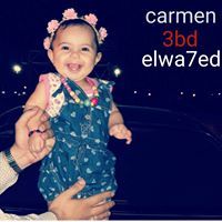 Ahmed Abd-Elwahed