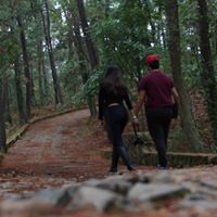 Sergio Navarro Arrambides