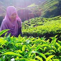 Nor Hizwani