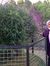 Linna R...