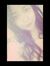 Nour Gamal